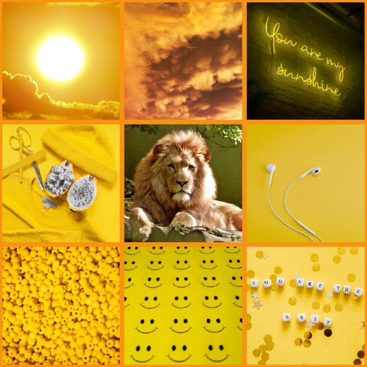 happy lion moodboard F2U